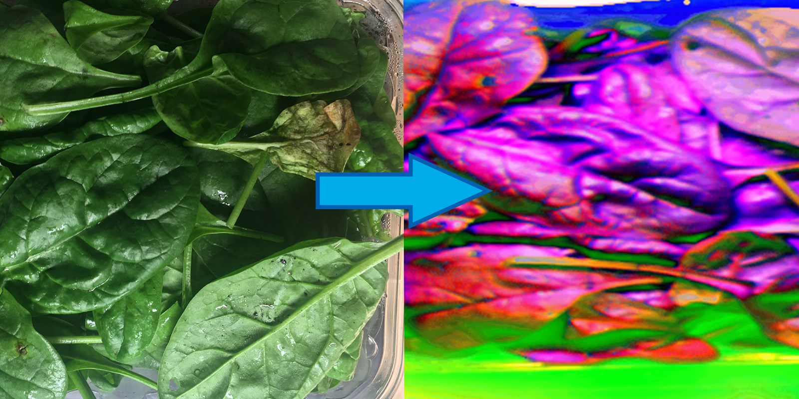 Hyperspectral Imaging | INO