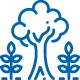 INO Natural resources Tree maturity level assessment Icon